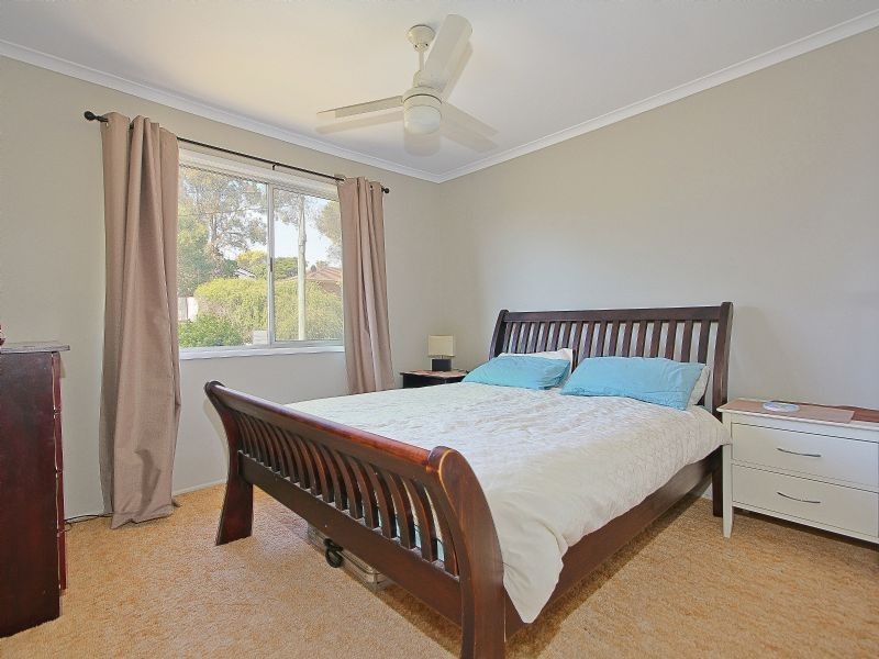 12 Kookaburra Street, Birkdale QLD 4159