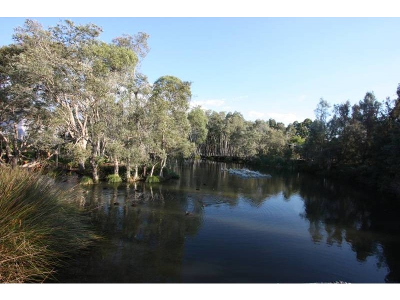 36 Carlingford Drive, Thornlands QLD 4164