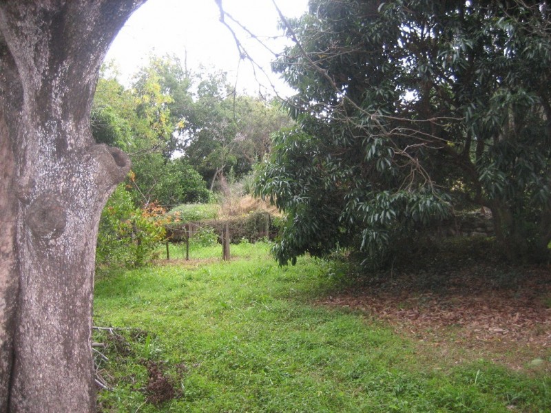 65 Dixon Street, Sunnybank QLD 4109