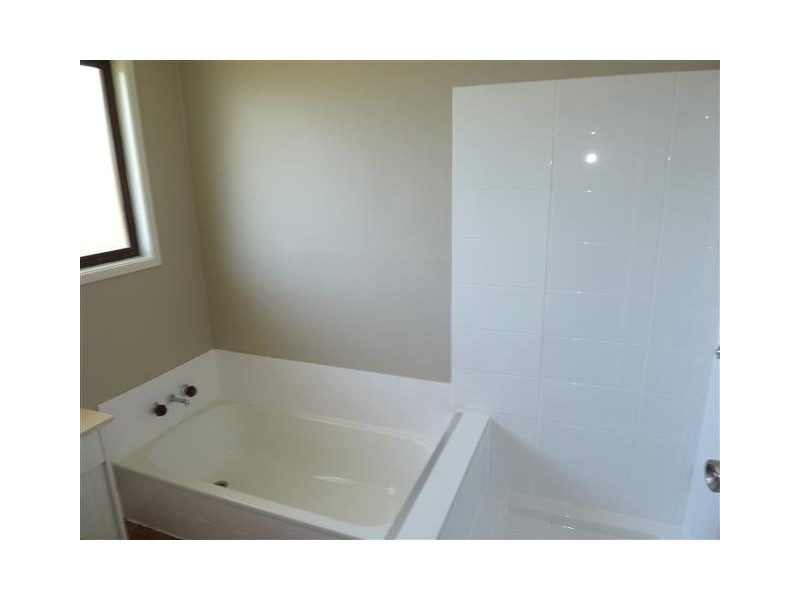 7 Murray Street, Birkdale QLD 4159