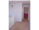 53 Spurs Drive, Wellington Point QLD 4160