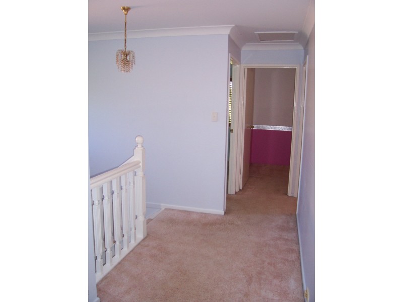 53 Spurs Drive, Wellington Point QLD 4160