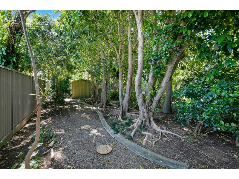 65 Long Street, Cleveland QLD 4163