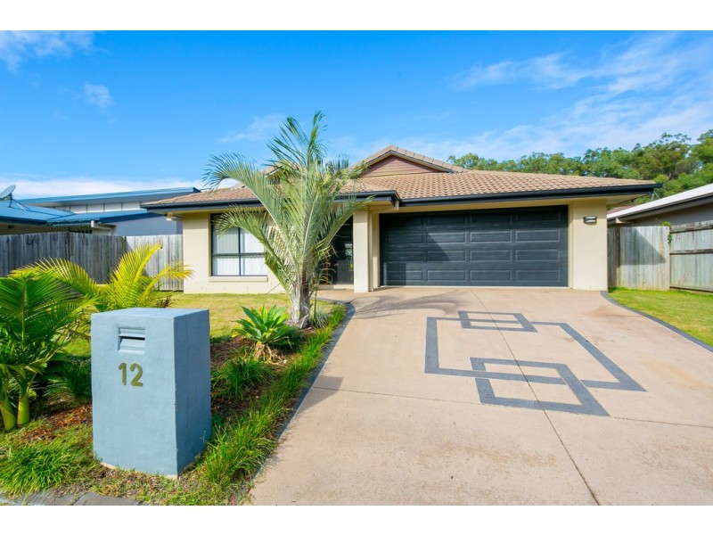12 Jabiru Place, Cleveland QLD 4163