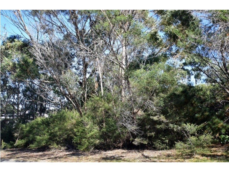 57 Glasford Crescent, Kioloa NSW 2539