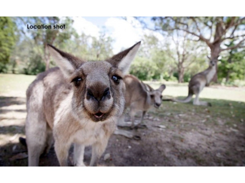 57 Glasford Crescent, Kioloa NSW 2539