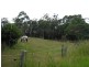 210 Tuckerman Road, Ulladulla NSW 2539