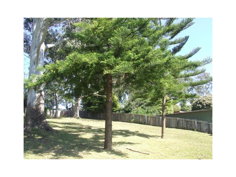 20A Buckland Street, Mollymook NSW 2539