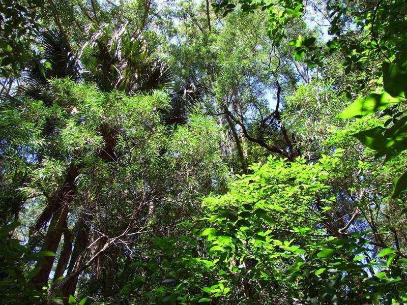 210A Woodburn Road, Milton NSW 2538