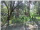 LOT/480 Tallwood Avenue, Mollymook NSW 2539