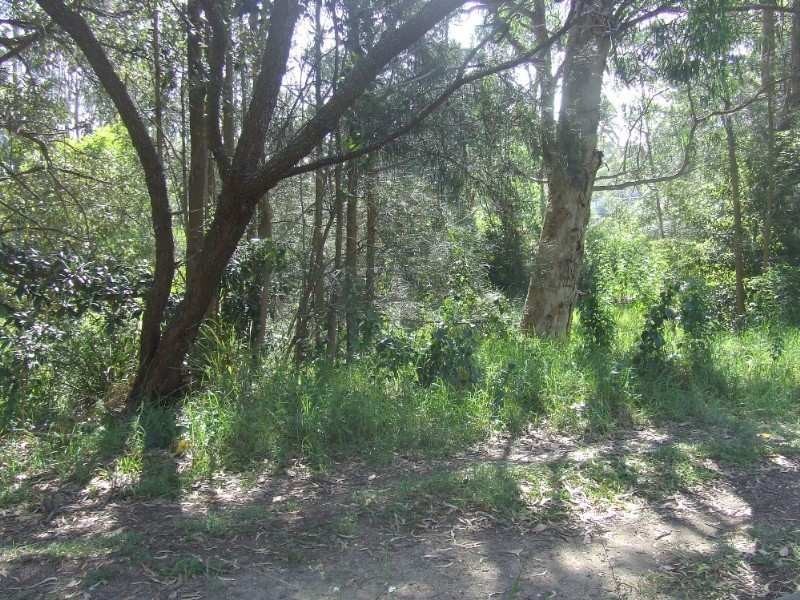 LOT/480 Tallwood Avenue, Mollymook NSW 2539