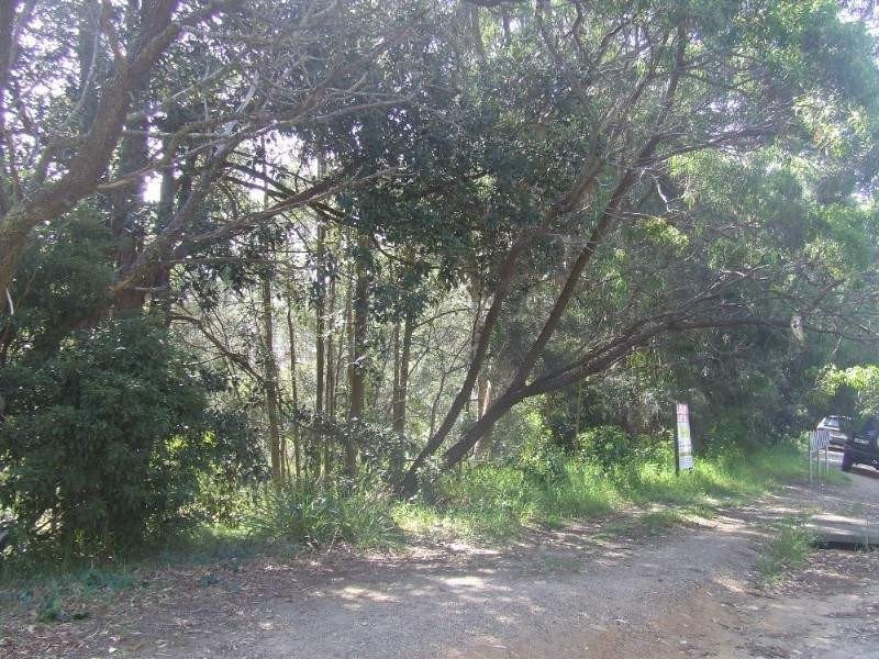 LOT/480 Tallwood Avenue, Mollymook NSW 2539