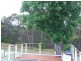 10 Canberra Crescent, Burrill Lake NSW 2539