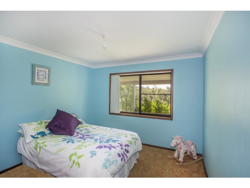 F1465 Princes Highway, Termeil NSW 2539