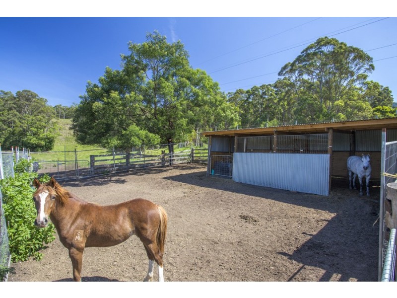 F1465 Princes Highway, Termeil NSW 2539