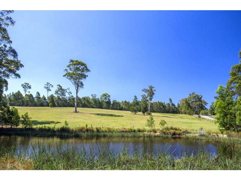 F1465 Princes Highway, Termeil NSW 2539