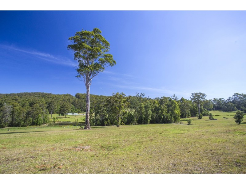 F1465 Princes Highway, Termeil NSW 2539
