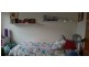 Narrawallee NSW 2539