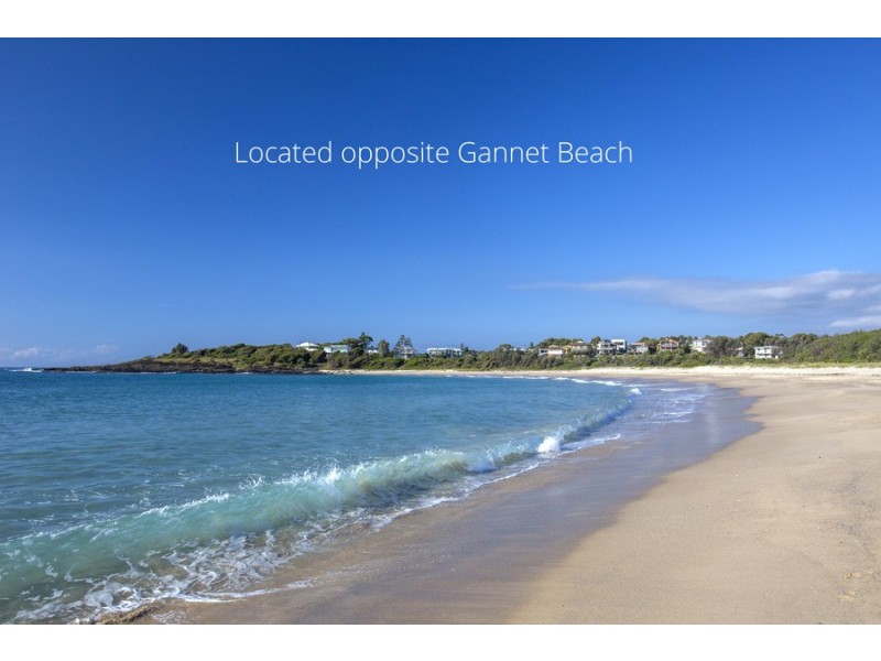 15 Malibu Drive, Bawley Point NSW 2539