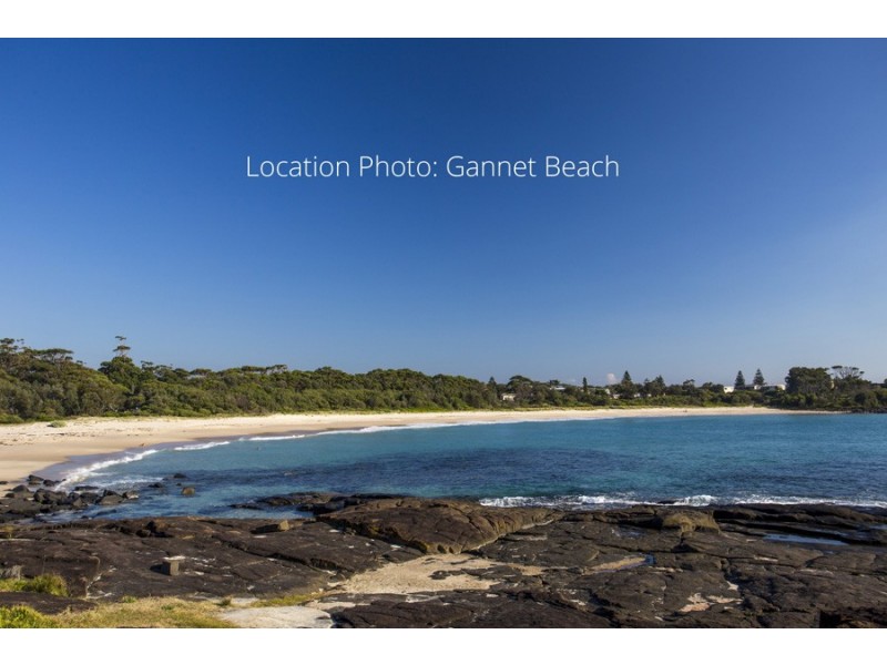 15 Malibu Drive, Bawley Point NSW 2539