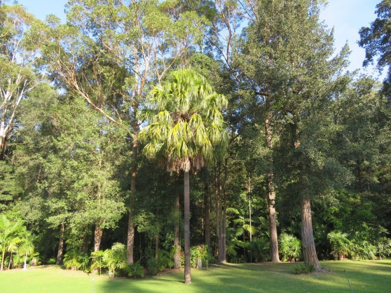 20 Brook Hollow Close, Woodstock NSW 2538