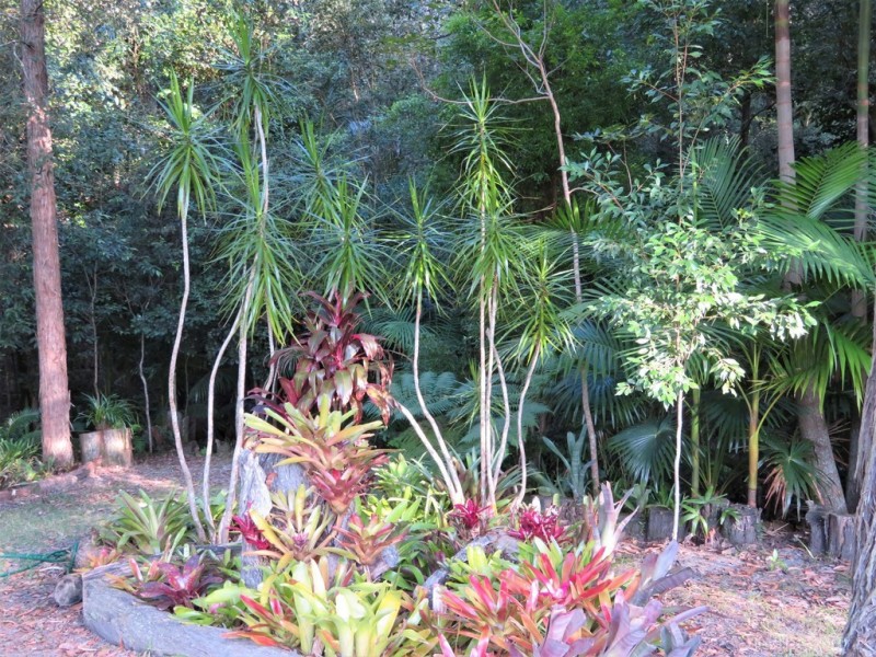 20 Brook Hollow Close, Woodstock NSW 2538