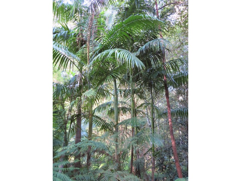 20 Brook Hollow Close, Woodstock NSW 2538