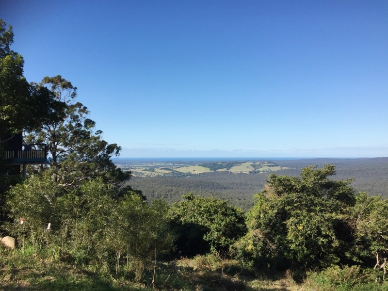 663H Little Forest Road, Little Forest NSW 2538