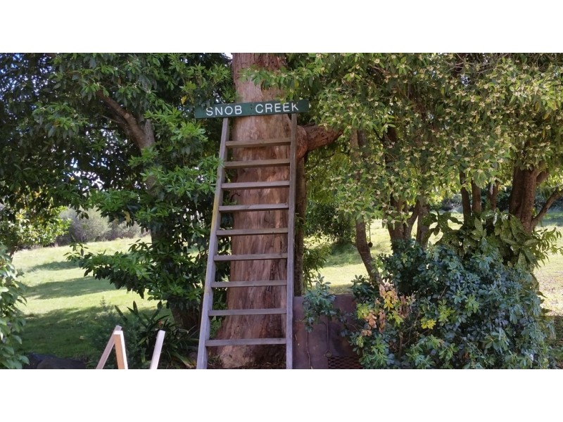 65A Murramarang Road, Bawley Point NSW 2539