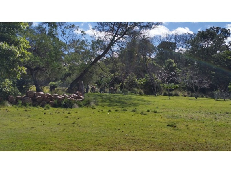 65A Murramarang Road, Bawley Point NSW 2539
