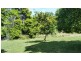 65A Murramarang Road, Bawley Point NSW 2539