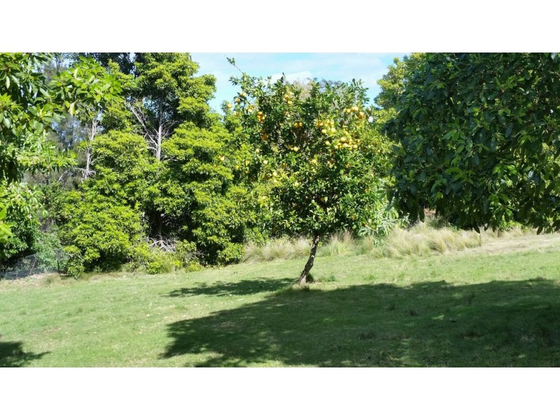 65A Murramarang Road, Bawley Point NSW 2539