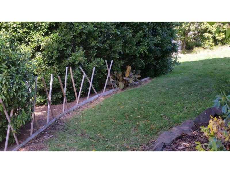 65A Murramarang Road, Bawley Point NSW 2539