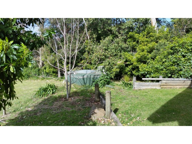 65A Murramarang Road, Bawley Point NSW 2539