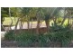 65A Murramarang Road, Bawley Point NSW 2539