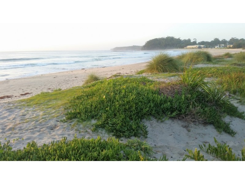 24 Mitchell Parade, Mollymook Beach NSW 2539