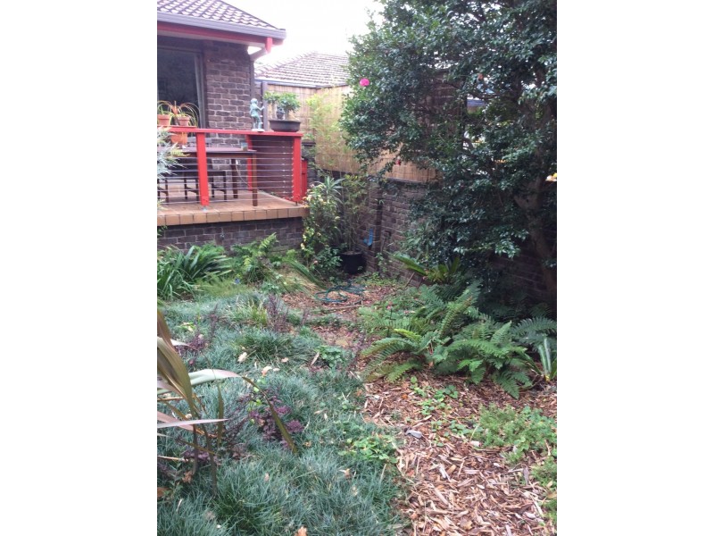 26 Clissold St, Mollymook NSW 2539