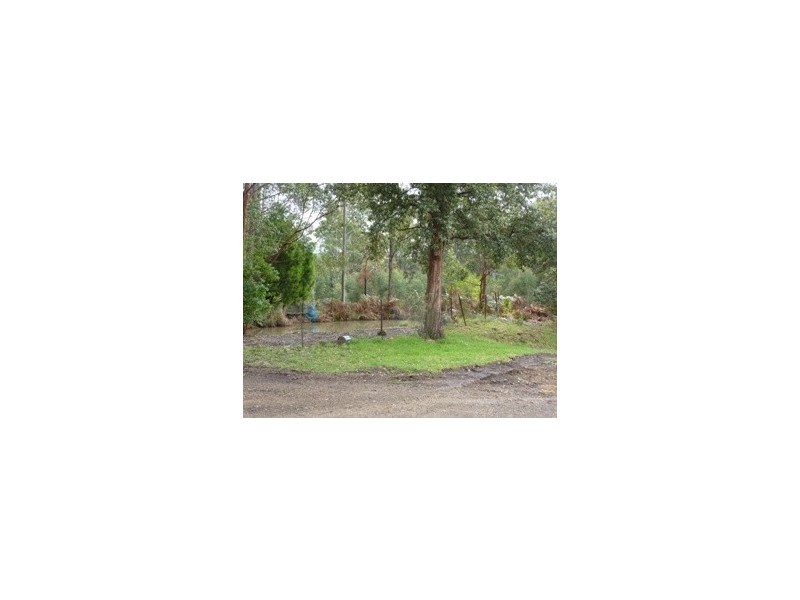 212 Bawley Point Road, Bawley Point NSW 2539