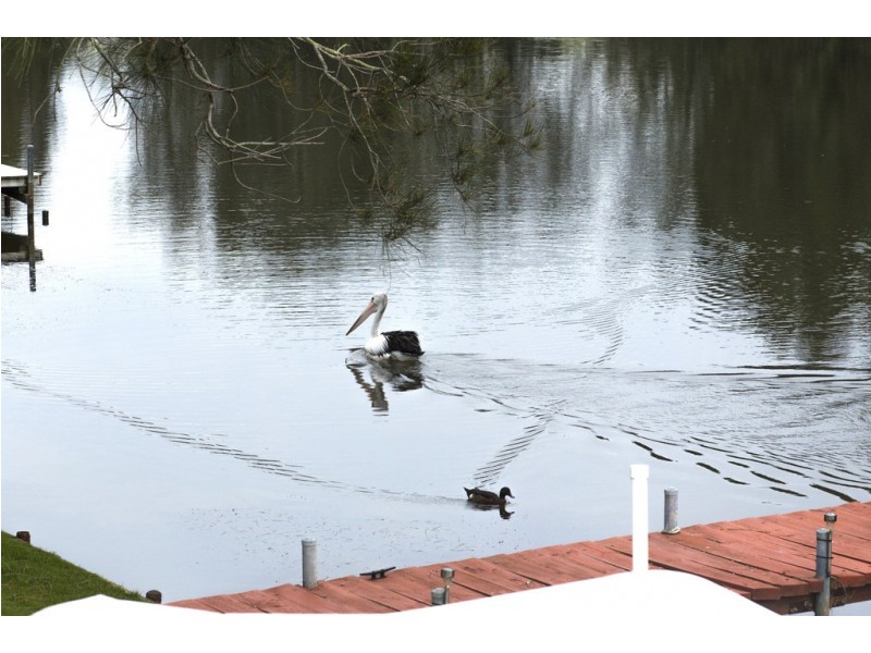 79 Lake Conjola Entrance Road, Lake Conjola NSW 2539