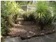 10 Sandra Street, Lake Conjola NSW 2539