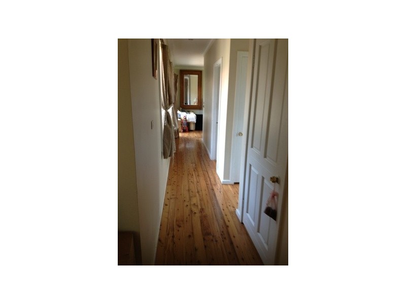 31 Alma Avenue, Fishermans Paradise NSW 2539