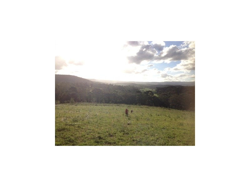 31 Alma Avenue, Fishermans Paradise NSW 2539