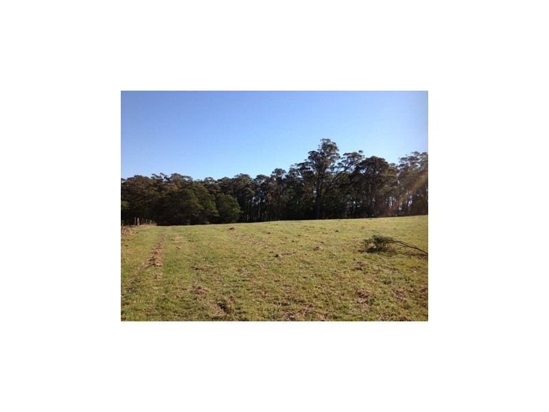 31 Alma Avenue, Fishermans Paradise NSW 2539