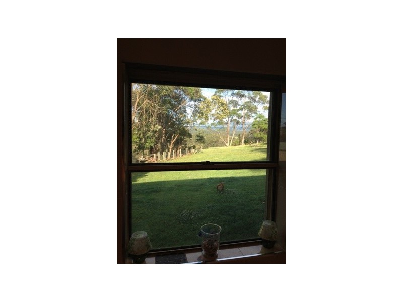 31 Alma Avenue, Fishermans Paradise NSW 2539