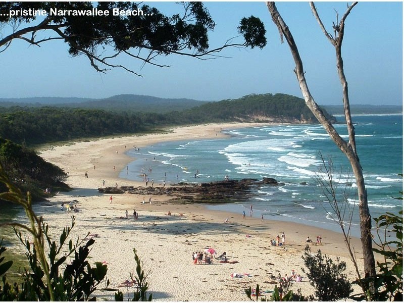 41 Bangalow St, Narrawallee NSW 2539