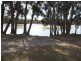 45 Carroll Ave Lakeside, Lake Conjola NSW 2539