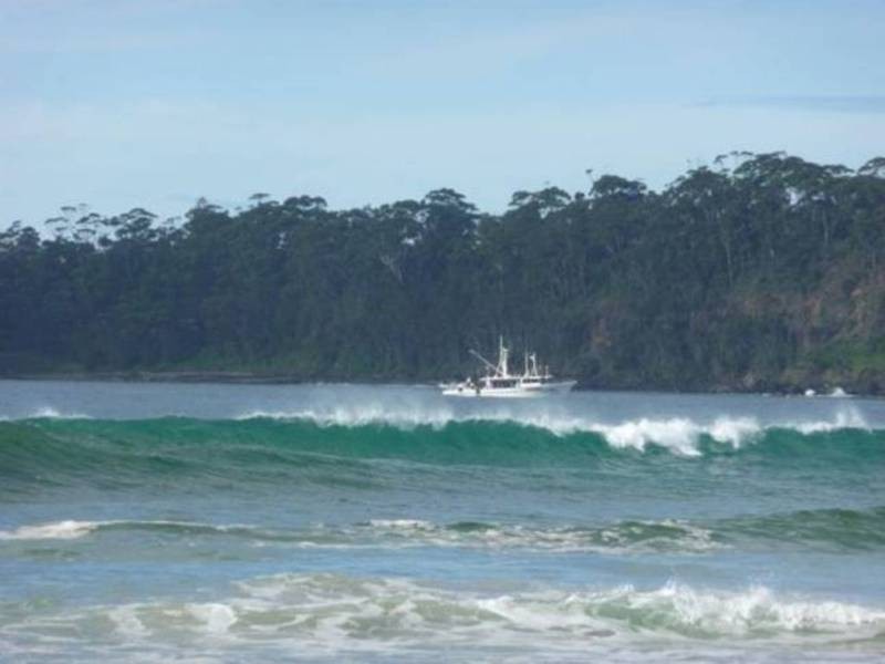 29 Matron Porter Dr, Narrawallee NSW 2539