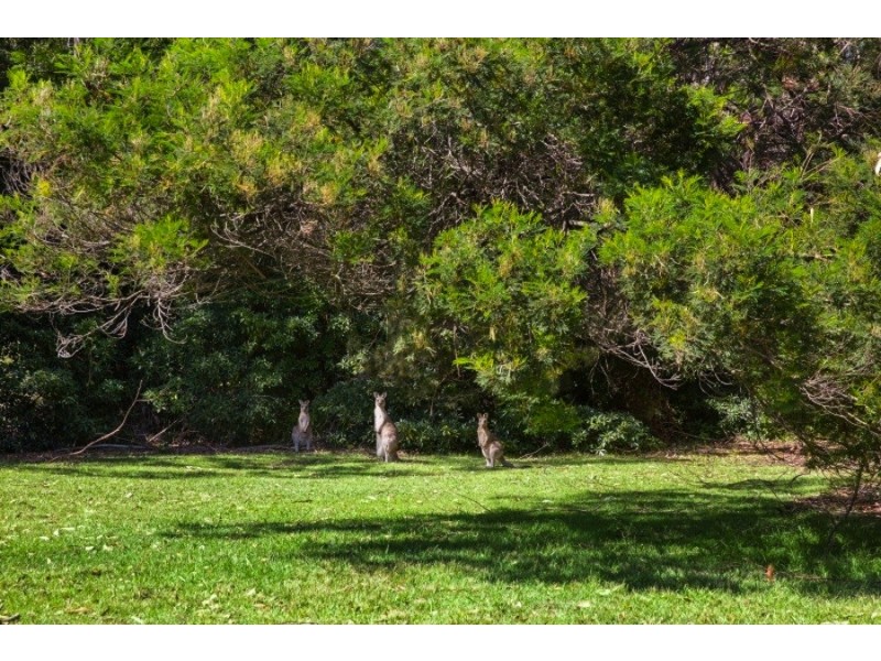 8 Brace Close, Kioloa NSW 2539