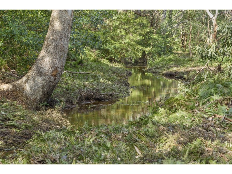 F1563 Princes Highway, Termeil NSW 2539