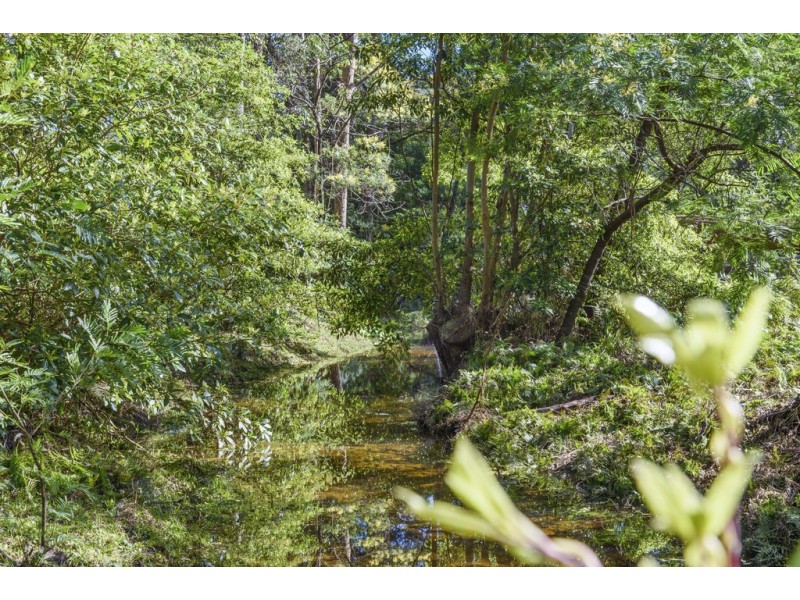 F1563 Princes Highway, Termeil NSW 2539